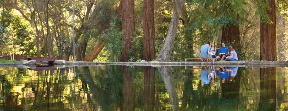Four people sitting by a pond surrounded by trees